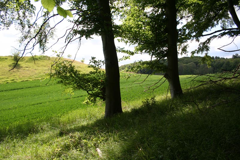 Killikus&reg; Fotographie